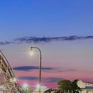 Meet your Posher, Jessie